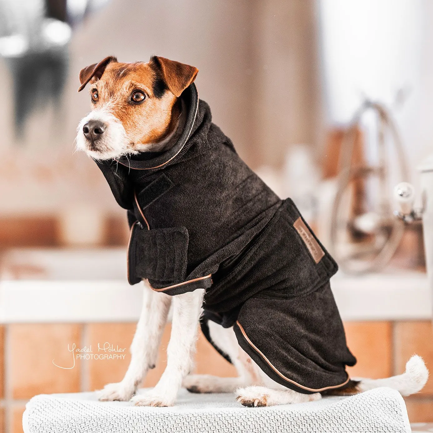 Kentucky Dogwear Towel Dog Coat - Black