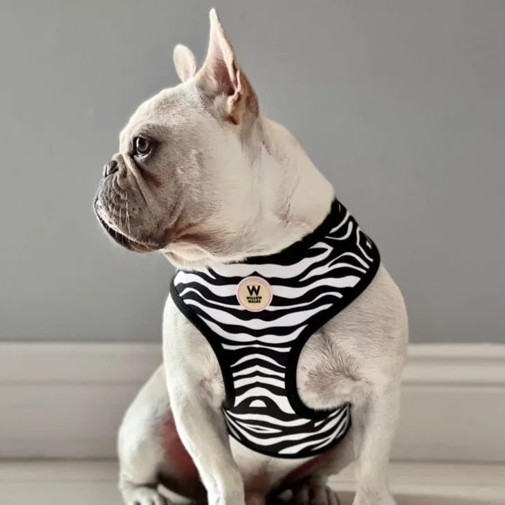 Willow Walks Reversible Harness in mono zebra and multi