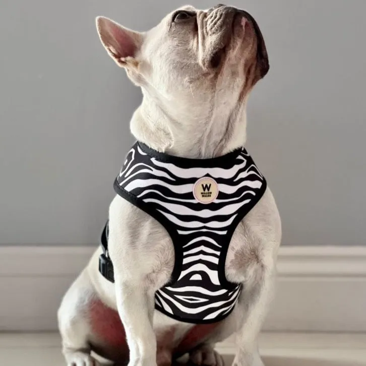 Willow Walks Reversible Harness in mono zebra and multi