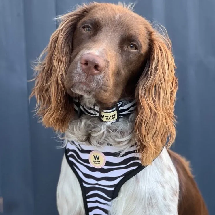 Willow Walks Reversible Harness in mono zebra and multi