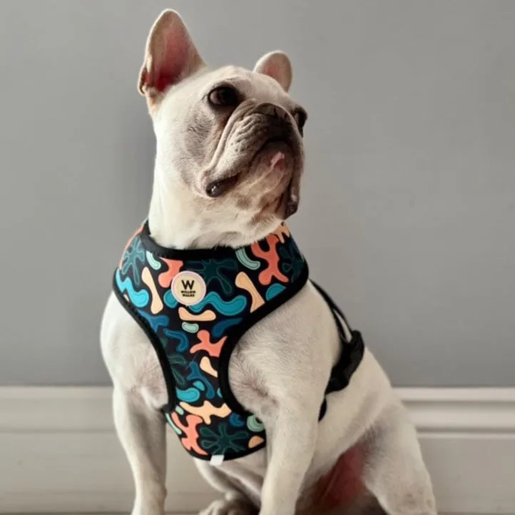 Willow Walks Reversible Harness in mono zebra and multi